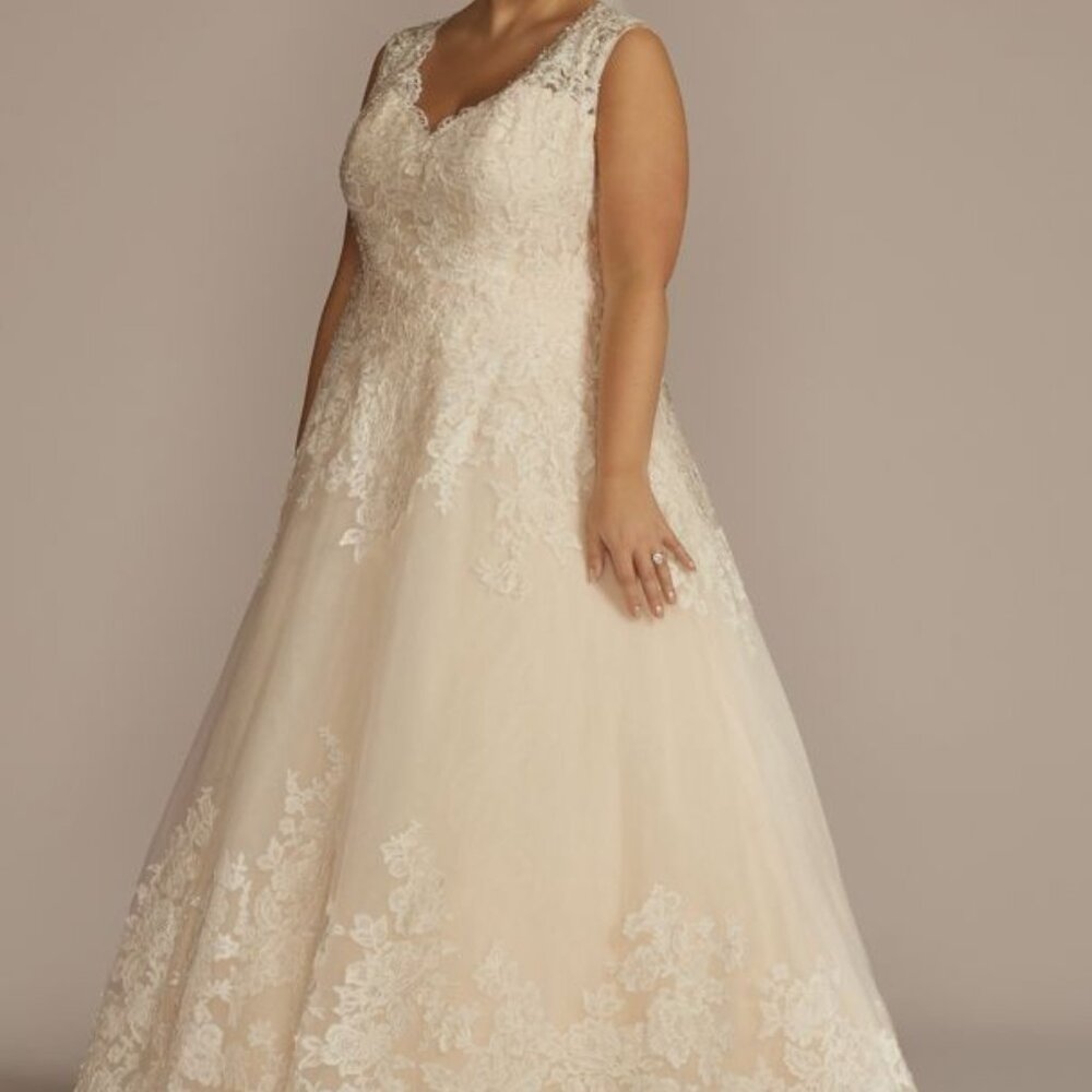 David's Bridal Wedding Dress